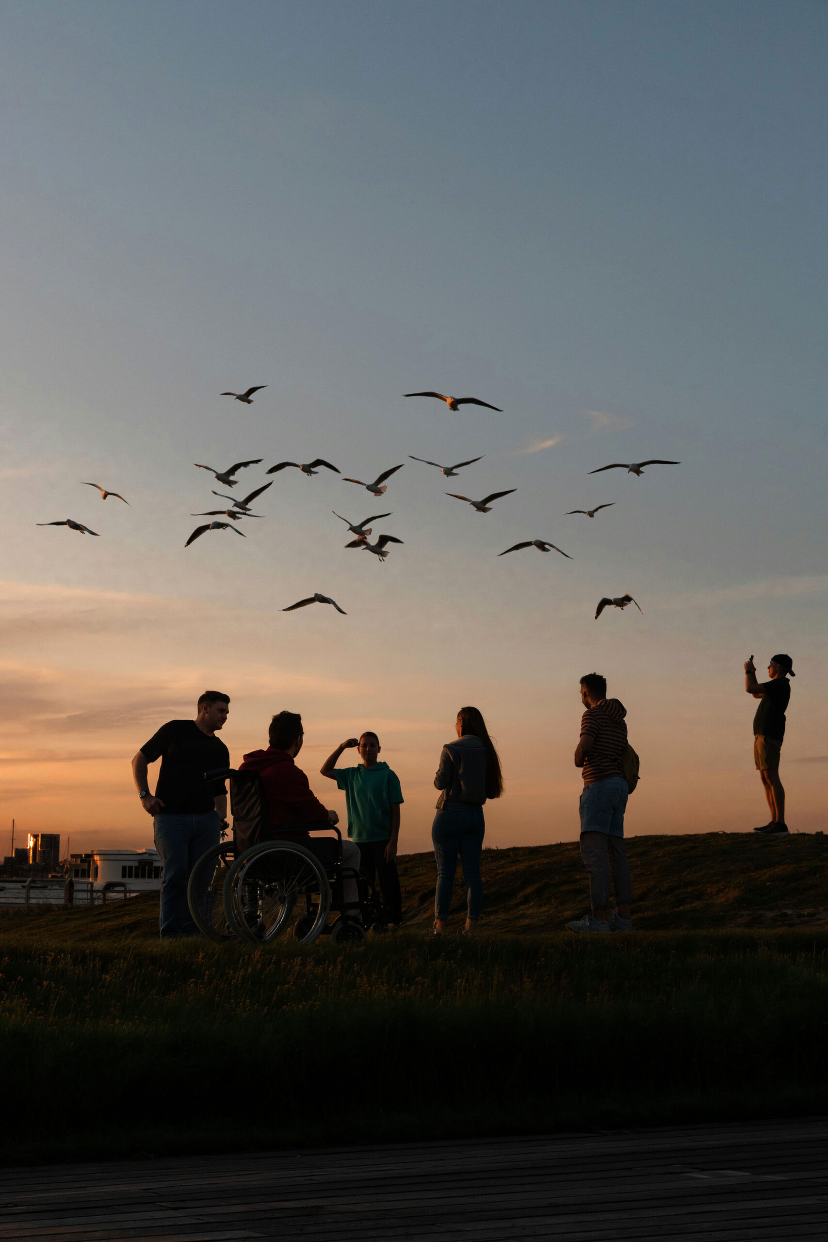 Gruppe von Menschen, darunter eine Person im Rollstuhl, steht auf einer Anhöhe bei Sonnenuntergang und beobachtet fliegende Vögel