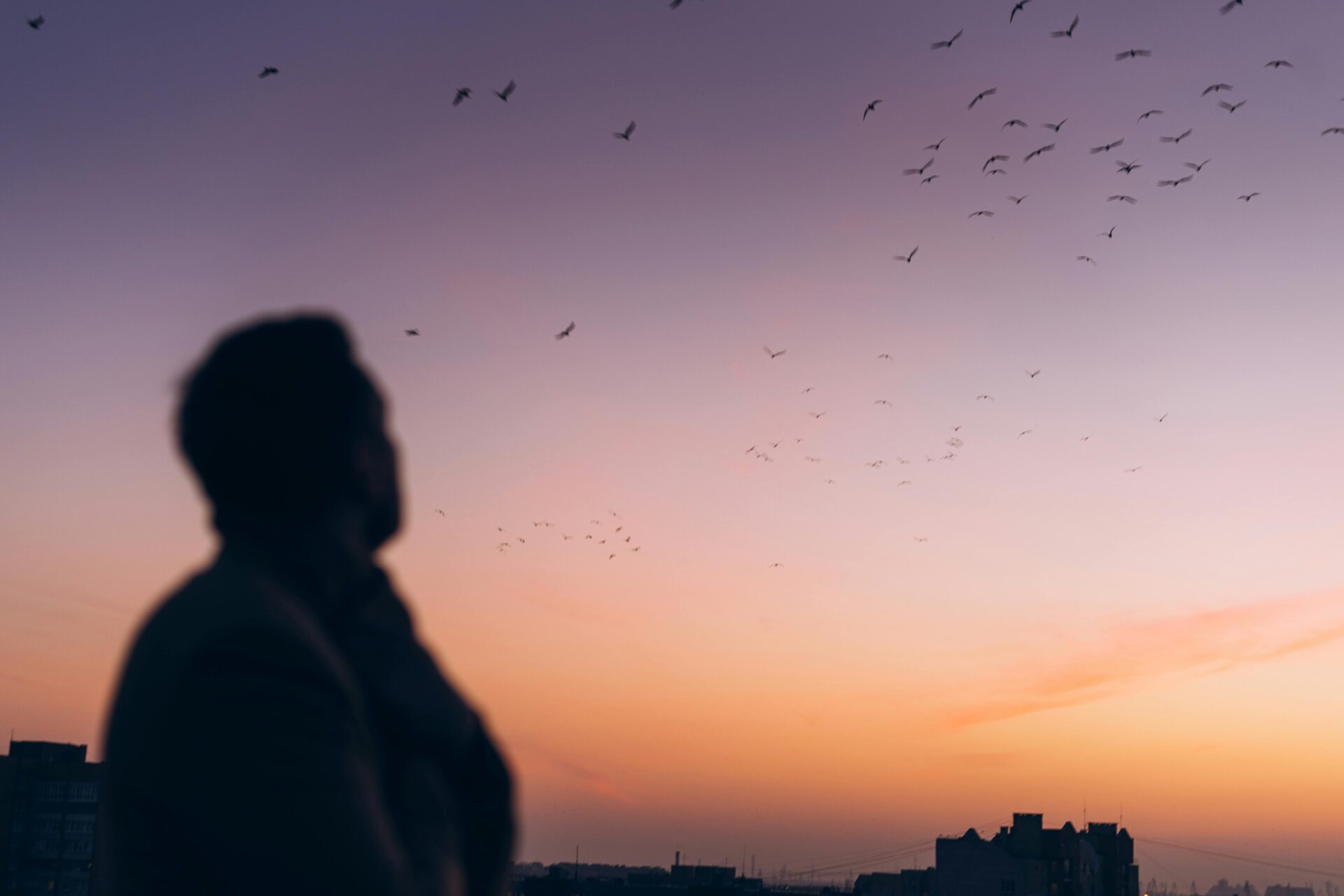 Silhouette eines Mannes vor einem Sonnenuntergang mit Vögeln am Himmel über einer Stadtlandschaft