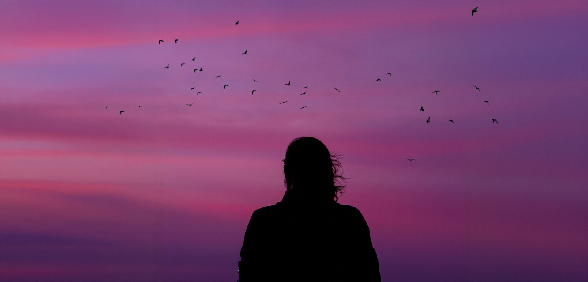 Silhouette einer Person vor einem lila-rosa Himmel mit einer Gruppe fliegender Vögel